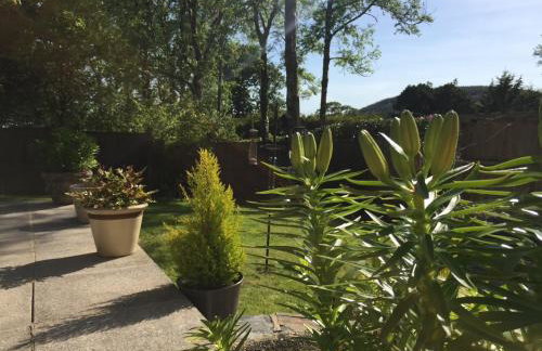 Gardener's Cottage Carmarthenshire Sleeps 5 - Foto 13