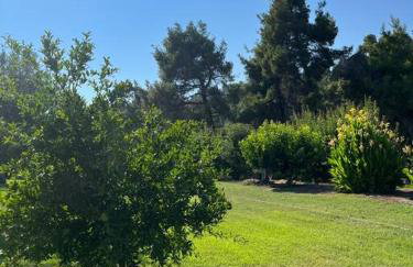 Paralia Homes cheerful 2 bedroom with pool, unit #1 - Foto 54