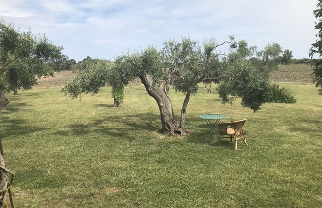 Masseria Scannaturco - Photo 18