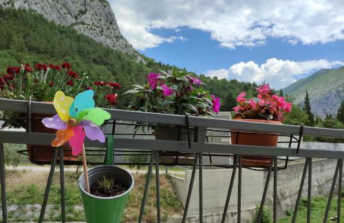 Apartment Bajama - Photo 28