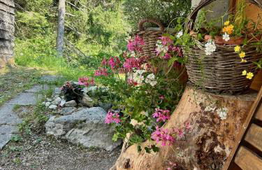 Ca'Mugo, a chalet in the magic woods, near Cortina - Foto 55