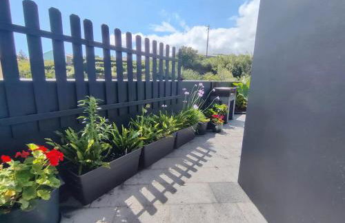 Canada da Ribeira - Photo 9