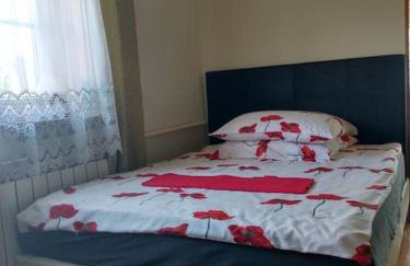 Dom z ogrodem w malowniczej okolicy Bieszczady - Foto 24