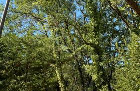 Maison 3ch - Parc Naturel du Verdon - Foto 24