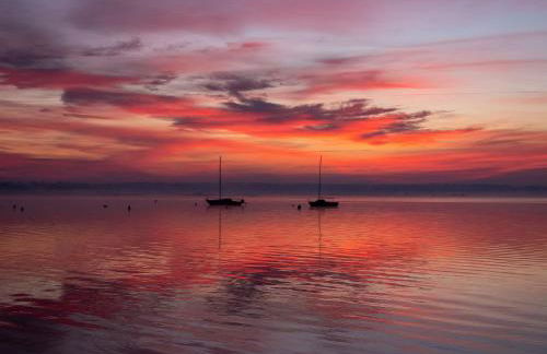 Eco-lodges Lacanau Moutchic Inn - 4 pers - Foto 23