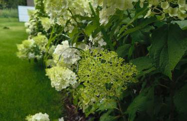 Noclegi, pokoje, kwatery "Nad Bzurą" - Foto 11