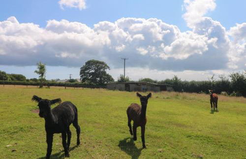 Connie's Cottage - Foto 42