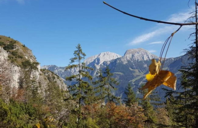 Holiday Flat in Schonau am Konigssee - Foto 31