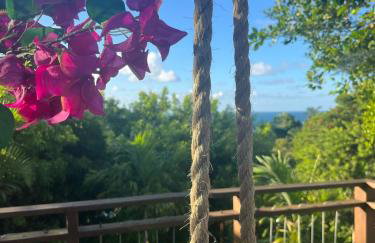 Céu do Morro - Foto 29