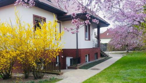 Geräumige Wohnung mit Terrasse in ruhiger Lage - Foto 3, Garden