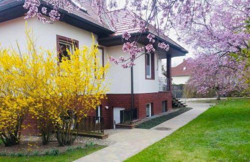 Geräumige Wohnung mit Terrasse in ruhiger Lage - Foto 3