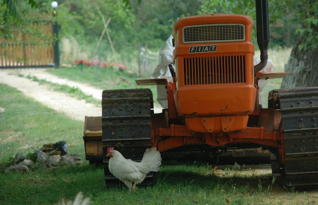 Silence and Relaxation in the Countryside of Umbria - Photo 20