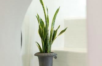 Doukas Caldera Suites - Foto 21