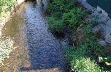 Ferienhaus am Bach - Foto 51