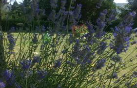 il Fienile di Penelope - Foto 6