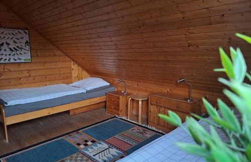 Holzferienhäuser im Naturerlebnisdorf Blauvogel - Foto 70