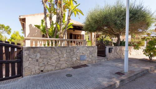 Alga Marina - Foto 2, Other