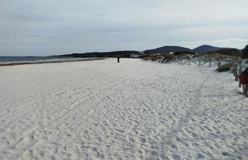 The Apricot House, alle porte di San Teodoro - Foto 2