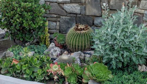 Oikia Eleanthi - Beachfront Garden Home! - Foto 3