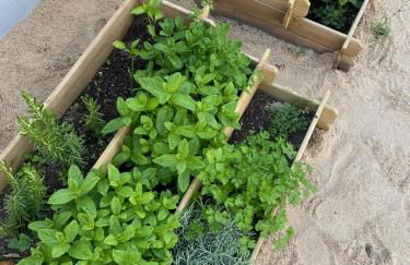 La Finca de Aurora - Foto 40