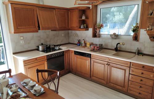 Panorama View Apartment 1 - Foto 16