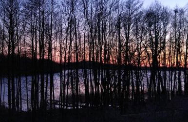 domki pod Jesionem Sławianowo nad jeziorem - Foto 34