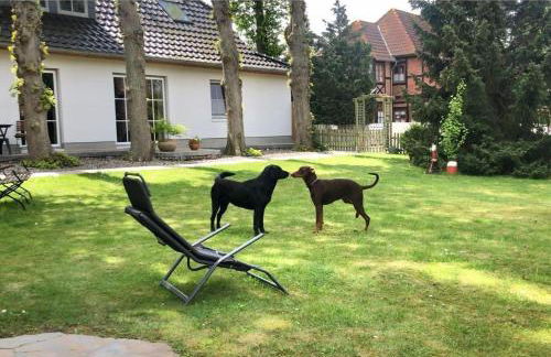 Haus am Dorfteich Kopendorf, Wohnung 1 - Foto 10