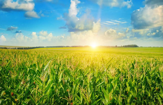 Dream Away Valley View Apartments - Photo 24