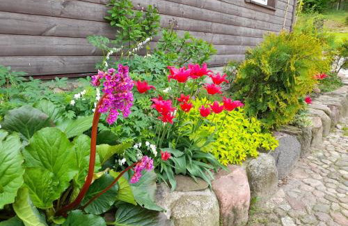 Drewniany Domek w Zakątku Andrzeje Śniczany 18 - Photo 12