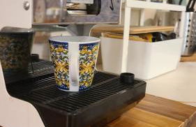 Stirpe nel Bosco - Fiocco - Foto 19