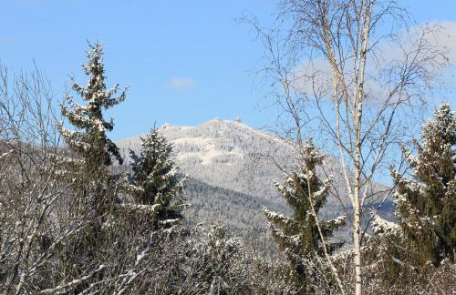Ferienwohnungen Ludwigsthal - Foto 1