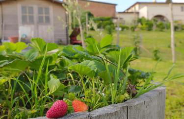 Agriturismo Villa Adimari - Foto 7