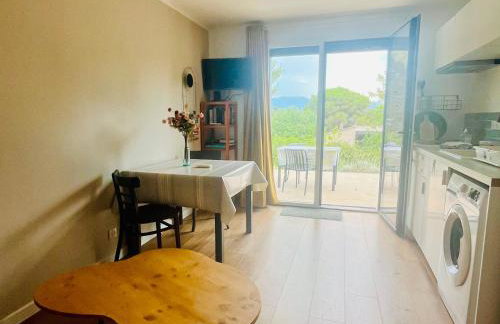 Charmant appartement F2 neuf Patrimonio - Foto 5