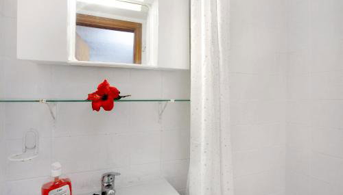 Welcome in Paradise - Foto 3