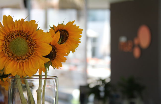 Ibiza Sun Apartments - Photo 7