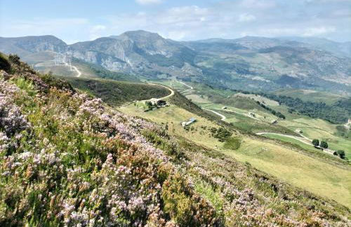 Tiñones cabaña pasiega - Foto 39