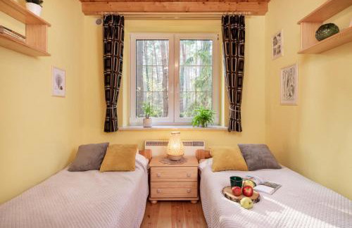 Masuria Warsaw Family - dom na wyłączność - w lesie i przy rzece - 15 min od Warszawy - idealny dla rodzin z dziećmi - Foto 33