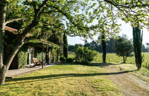 Wine Tourism - Quinta do Ameal - Foto 25