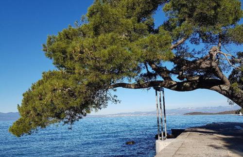 Apartments MARIO - Foto 41