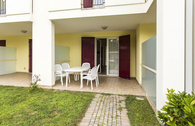 Calycanthus - Foto 29