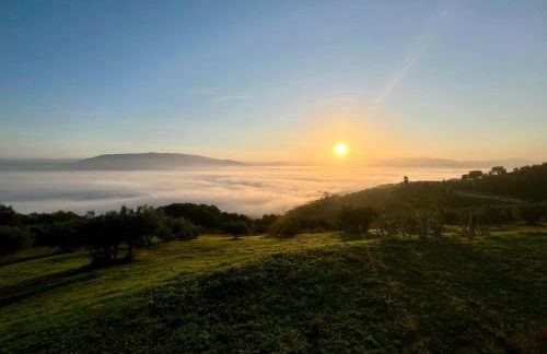 Agriboutique L'Uliveto Magico - Foto 24