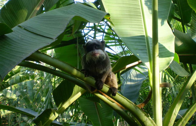 2, 3 or 4-Day Tres Chimbadas Lake Tour - Photo 7