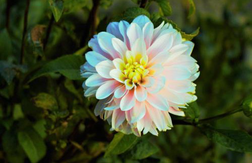 Apartments Lira - Foto 64