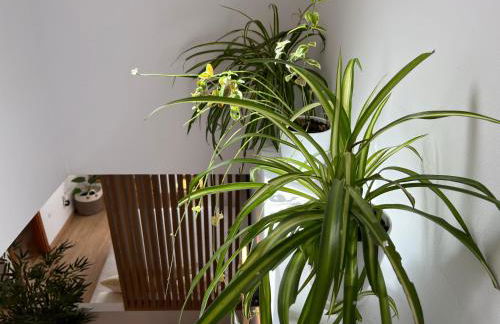 Duplex con terraza privada y parking a 15 minutos de Sevilla - Foto 20