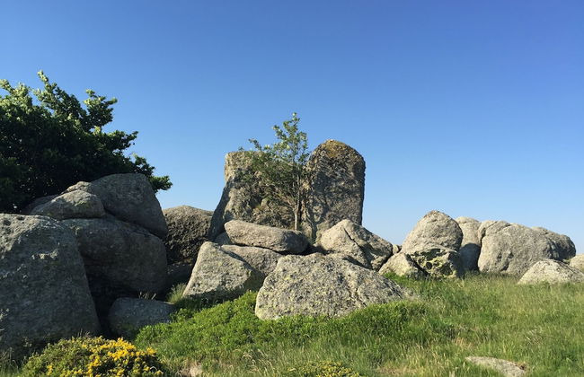 Domaine en Terre Happy - Foto 74