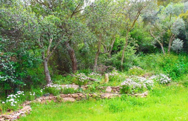 Agriturismo Sogno Latino - Photo 26