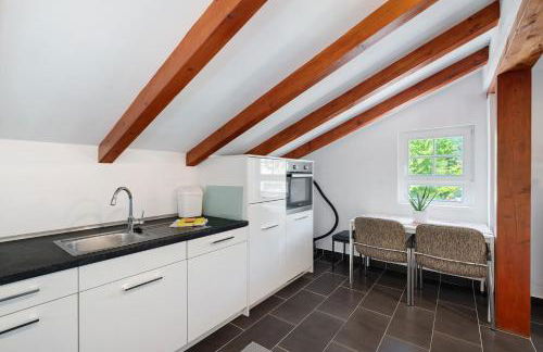 Vogtshaus de Luxe - Foto 10