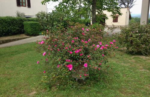 Appartamento Vecchia Farmacia 111 - Foto 11