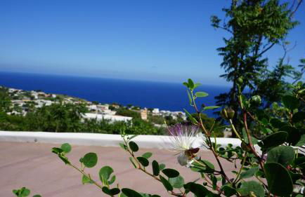 LE CASETTE DI MALFA - Foto 50