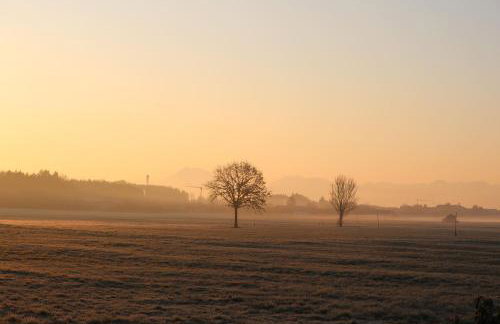 Vital Wohnen - Photo 3